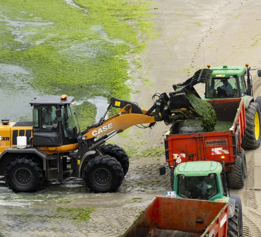 mining parts supplier in Africa - heavy machinery components